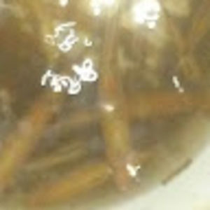 Meet your Posher, Hank